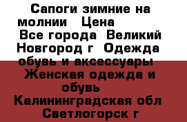 Сапоги зимние на молнии › Цена ­ 5 900 - Все города, Великий Новгород г. Одежда, обувь и аксессуары » Женская одежда и обувь   . Калининградская обл.,Светлогорск г.